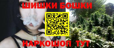 МДПВ Краснознаменск