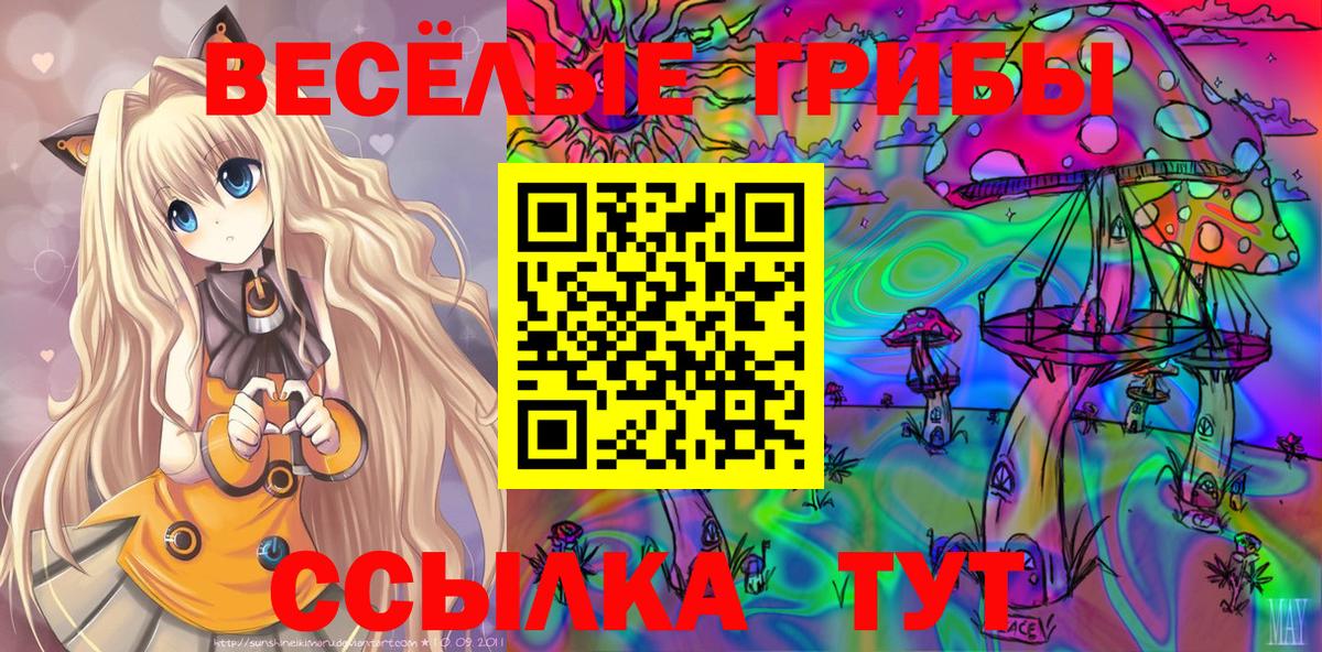 Донской  купить наркоту  Вход с VPN  Галлюциногенные грибы MAGIC MUSHROOMS 