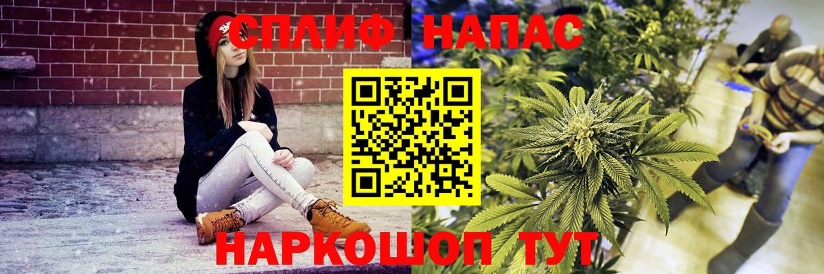 Бошки Шишки ГИДРОПОН Донской